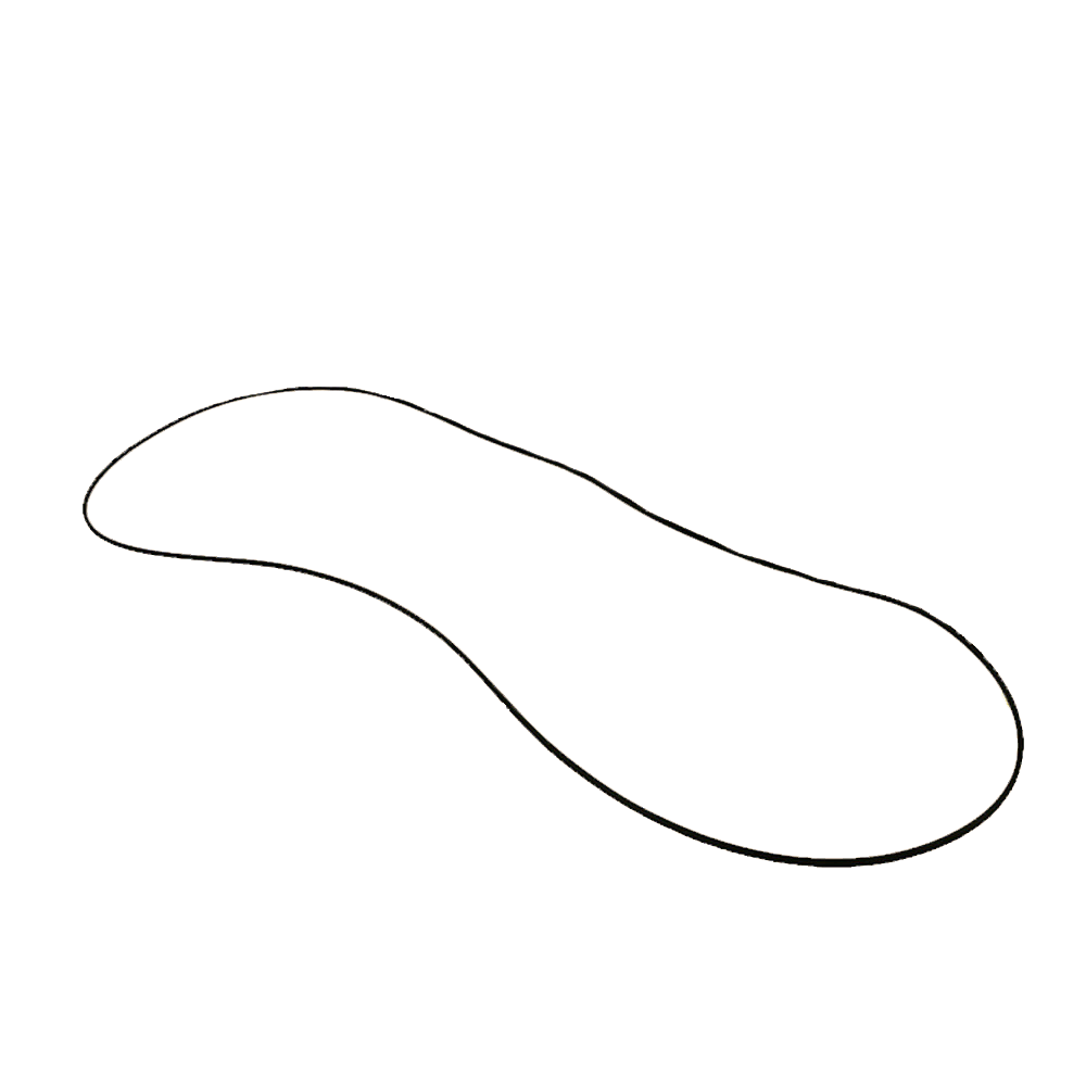 image of one Primary O-ring for 2005-2010 Big Dog