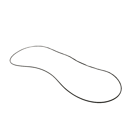 image of one Primary O-ring for 2005-2010 Big Dog